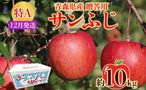 サンふじ 約10kg 贈答用 特A 12月発送 化粧箱入 りんご リンゴ 果物 フルーツ くだもの 旬 青森県産 お取り寄せ 贈り物 プレゼント 青森県 西目屋村 499629 - 青森県西目屋村