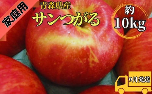 サンつがる約10kg 家庭用（9月発送）青森県産 499634 - 青森県西目屋村