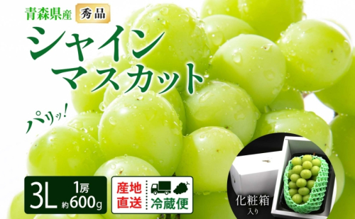 シャインマスカット 秀品 1房 約600g 青森県産 ぶどう ブドウ 葡萄 種なし 大粒 果物 フルーツ くだもの 果実 旬 贈答用 化粧箱 贈り物 お取り寄せ 産地直送 青森県 西目屋村 499670 - 青森県西目屋村
