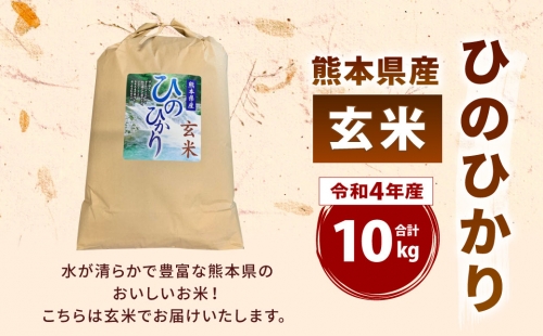 【令和4年産】【玄米】 熊本 ひのひかり 10kg 499774 - 熊本県八代市