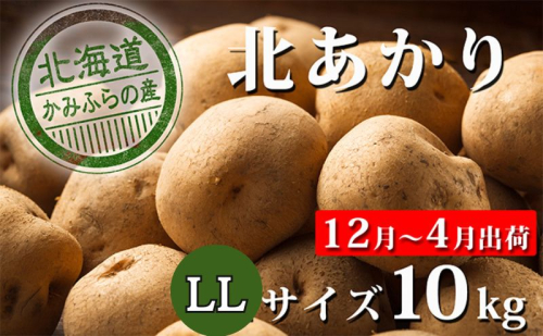 【 2025年 発送 】 先行予約 北海道 上富良野 産地直送 じゃがいも 北あかり LL 約 10kg  冷蔵 発送 きたあかり ジャガイモ 芋 ポテト 野菜   500214 - 北海道上富良野町