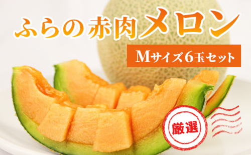 【2026年発送】ふらの 赤肉メロン 厳選 甘味 Mサイズ 1.35kg～1.6kg 6玉 セット ファーム富良野 メロン めろん 富良野メロン 果物 くだもの フルーツ 富良野 デザート 北海道 先行受付 北海道上富良野町  500337 - 北海道上富良野町