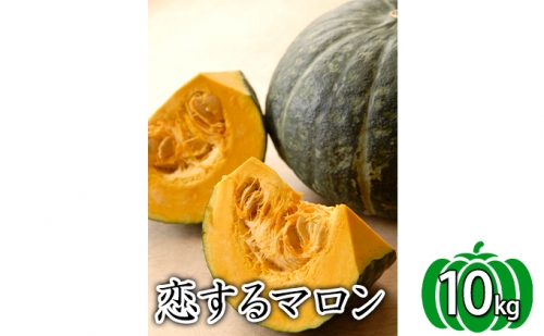 かみふらの産かぼちゃ【恋するマロン】10kg 500340 - 北海道上富良野町