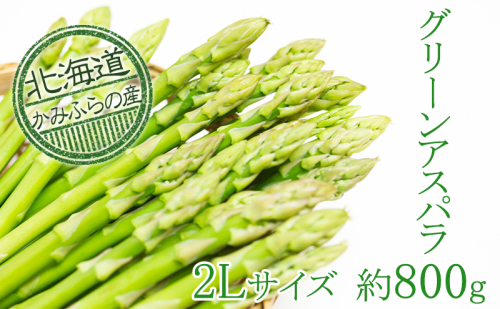 上富良野町産グリーンアスパラ[露地]約800g(2Lサイズ) アスパラガス 野菜 グリーンアスパラガス  500364 - 北海道上富良野町