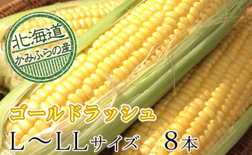 朝採りとうもろこし【ゴールドラッシュ】L～LL 8本セット≪北海道上富良野町産≫ 500365 - 北海道上富良野町