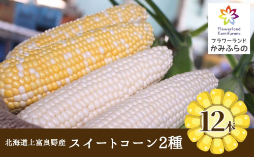 【令和8年産】北海道 上富良野 町産 スイートコーン 2種 セット 食べ比べ バイカラー 6本 白色 6本 計12本 野菜 とうもろこし トウモロコシ コーン 産地直送 野菜 500422 - 北海道上富良野町