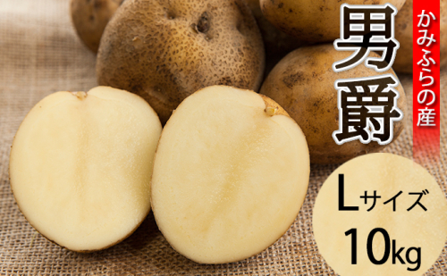 北海道 上富良野町 産 じゃがいも 男爵 10kg 野菜 ジャガイモ 500454 - 北海道上富良野町
