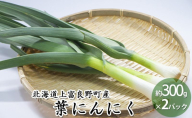【令和8年産】 先行予約 北海道 上富良野町 産 葉 にんにく 約400g×2パック 計800g 産地直送 希少 香味 野菜 薬味 葉にんにく ニンニク
