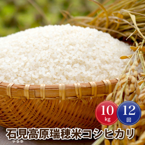 令和8年産【定期便12回】邑南町産石見高原瑞穂米10kg 50054 - 島根県邑南町