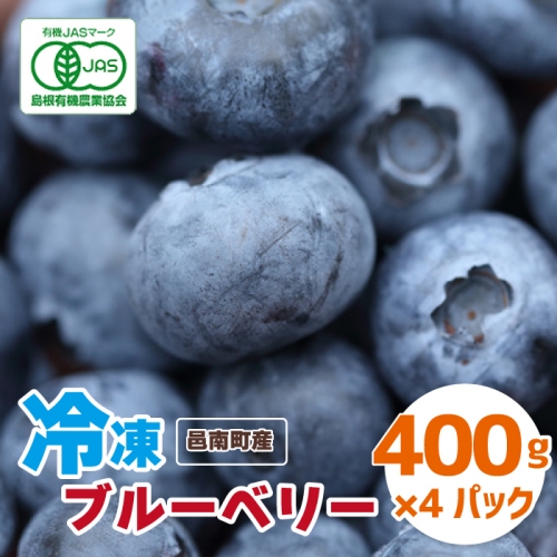 有機 冷凍ブルーベリー1.6kg（400g×4パック）