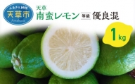 S131-004_天草南蛮レモン　等級「優良混」1kg