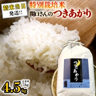 《 特別栽培米 》 令和5年産 精米日出荷 関口さんの「 つきあかり 」 4.5kg ( 玄米時 5kg ) 新鮮 精米 米 こめ コメ 特別栽培農産物 認定米