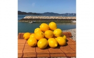 青いレモンの島　レモン約3kg【1092711】