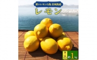 青いレモンの島　レモン約1kg＜お試しセット＞【1287524】