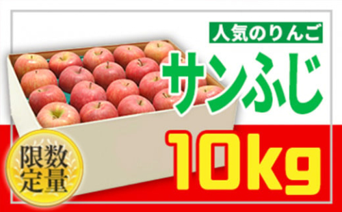 ☆フルーツ王国山形☆無袋サンふじりんご 秀品 10kg FZ22-922 501487 - 山形県山形市