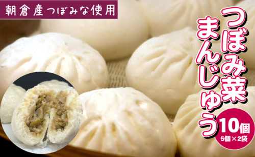 つぼみ菜まんじゅう 10個（80g×5個入×2袋）冷凍 肉まん 豚まん 惣菜 蕾菜 野菜 電子レンジ ※配送不可：離島 パン 漬物 加工食品 コリコリ 食感 辛み 大人感 ふっくら  501599 - 福岡県朝倉市