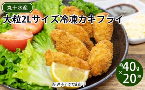 カキフライ 冷凍 大粒 2Lサイズ(約40g×20粒)牡蠣 広島県産 丸十水産 501658 - 広島県呉市