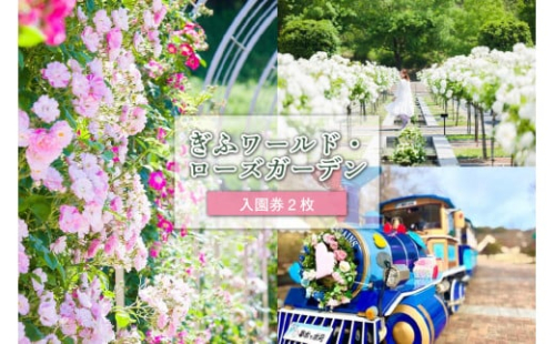 ぎふワールド・ローズガーデン 入園券 2枚【 岐阜県 可児市 世界最大級 バラ園 チケット セット ネモフィラ ひまわり コスモス 花 フラワー バラ ローズ 自然 カフェ ピクニック 鑑賞 自然 リラックス フラワー 】