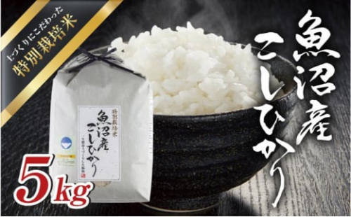 『新潟県認証米』魚沼産コシヒカリ特別栽培米 5kg 502258 - 新潟県十日町市