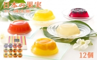 日本の果実フルーツゼリー セット12個　甘夏 トマト タンカン メロン ブルーベリー 新高梨 ギフト 洋菓子