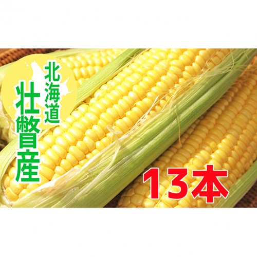 <2020年8月下旬よりお届け>北海道壮瞥産 とうもろこし(スイートコーン)Lサイズ13本