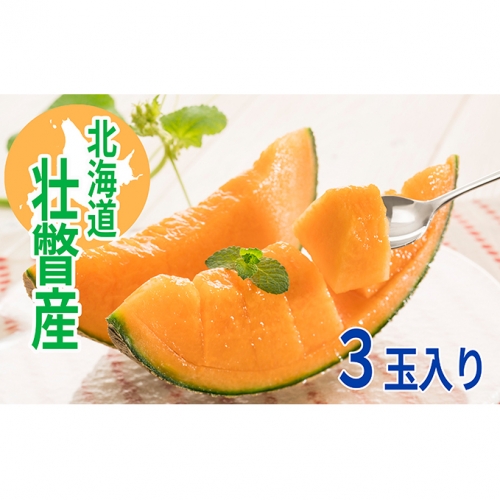 <2020年7月中旬よりお届け>北海道壮瞥産 赤肉メロン 3玉入り 約6kg