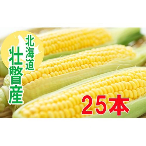 <2020年8月初旬よりお届け>約10kg!北海道壮瞥産とうもろこし(恵味)Lサイズ25本