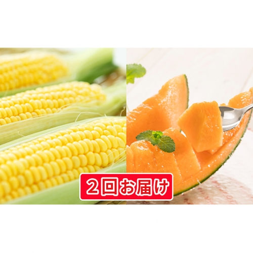 <2020年7月中旬よりお届け>2回お届け!北海道壮瞥産赤肉メロン2玉ととうもろこし(恵味)Lサイズ25本