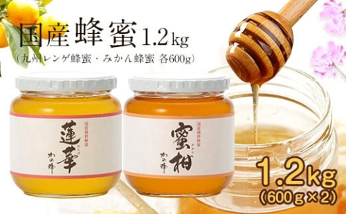 ＜国産＞かの蜂 はちみつ1.2kg（レンゲ600g、みかん600g） 保存食 防災グッズ