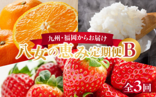 九州・福岡からお届け！八女の恵み定期便【全３回】 B｜＜配送不可：北海道・沖縄・離島＞