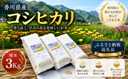香川県産コシヒカリ（精米3kg）米 白米 お米 50464 - 香川県東かがわ市