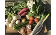 【3ヶ月定期便】自然栽培野菜10～12品目（3・4月は玄米5kg）野菜 米 玄米 詰合せ