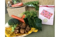 【栽培期間農薬不使用】白米2kgと季節の野菜（4～5品）のセット 野菜 詰合せ