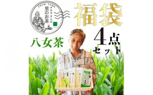 八女茶 福袋人気の深蒸し茶4種類入り 504936 - 福岡県八女市