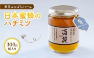 日本蜜蜂のハチミツ（300g）