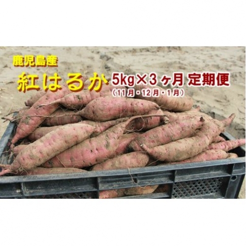 東串良の特選紅蜜芋紅はるか 5kg×3ケ月定期(11・12・1月)コース