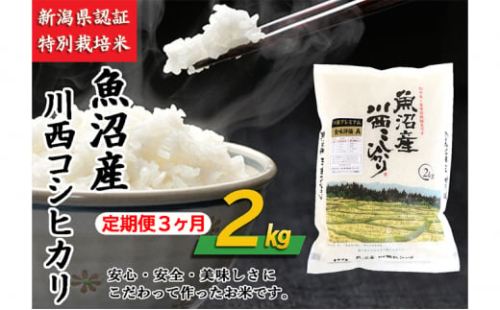 【定期便/3ヶ月】魚沼産川西こしひかり2kg 新潟県認証特別栽培米 令和4年度米 505788 - 新潟県十日町市