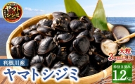 BN-5 神栖の黒宝　漁業者からお届け！利根川産ヤマトシジミ 1.2kg