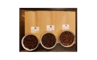 厳選コーヒー豆100g×6種類セット【1268643】