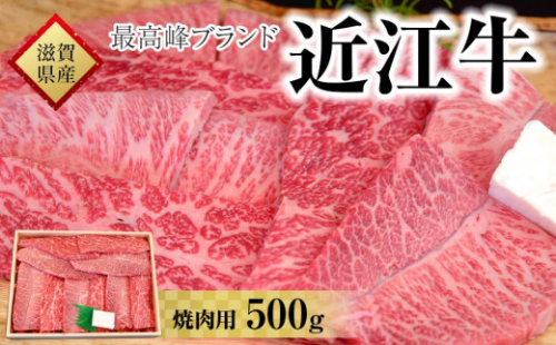 【着日指定必須】近江牛　焼肉用　５００ｇ