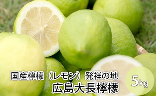国産檸檬（レモン）発祥の地　広島大長檸檬　5kg
