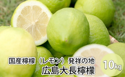 国産檸檬（レモン）発祥の地　広島大長檸檬　10kg