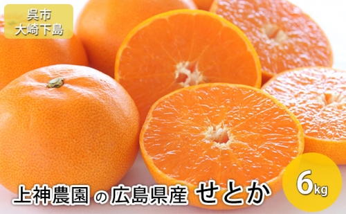 上神農園 の 広島県産 せとか 約6kg 50721 - 広島県呉市