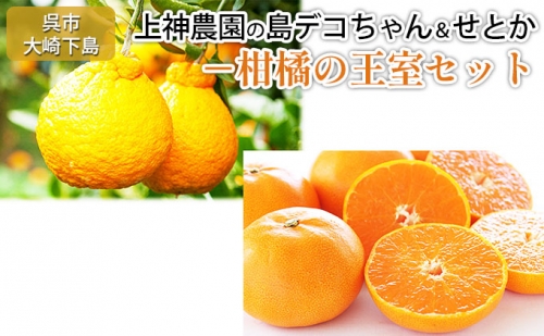 しらぬい (島デコちゃん)＆ せとか 柑橘の王室 セット 計約4kg 広島県産 呉 果物詰め合わせ みかん 上神農園