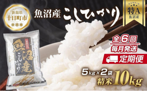 定期便 新潟県 魚沼産 コシヒカリ お米 10kg 計6回 精米済み 半年間 毎月発送 こしひかり お米の美味しい炊き方ガイド付き 新潟県十日町市 Au Pay ふるさと納税