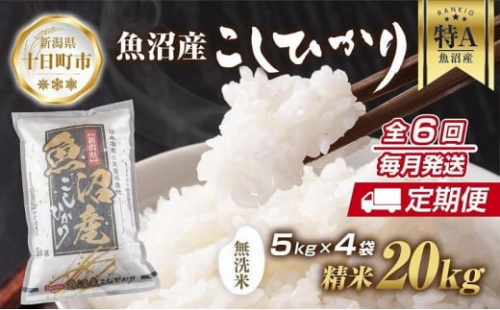 【人気色】スカポンタン様専用 ヒメノモチ 玄米 25kg 米/穀物