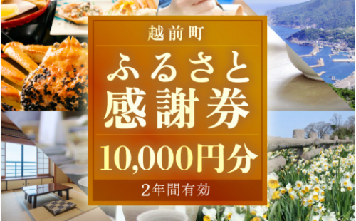 [e05-c001] 越前町ふるさと感謝券（10,000円分）【宿泊 レジャー アウトドア BBQ 体験型 宿泊券 福井県】 508018 - 福井県越前町