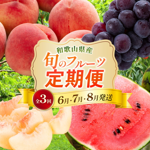 〈定期便〉【6・7・8月 全3回】和歌山の夏の人気フルーツ（小玉スイカ・桃・たねなしピオーネ）※北海道・沖縄・離島への配送不可 508335 - 和歌山県美浜町