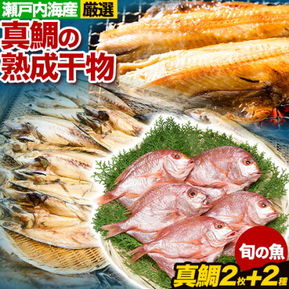 真鯛の熟成干物セット 笠岡魚市場《45日以内に出荷予定(土日祝除く)》岡山県 笠岡市 真鯛 干物 ひもの 海鮮 旬 魚 お魚 50863 - 岡山県笠岡市