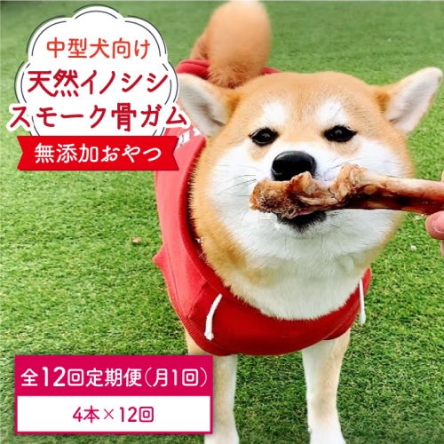 ＜12回定期便＞中型犬向け☆天然いのししのスモーク骨ガム4本 わんこin食堂/吉野ヶ里町 [FCG075] 508733 - 佐賀県吉野ヶ里町